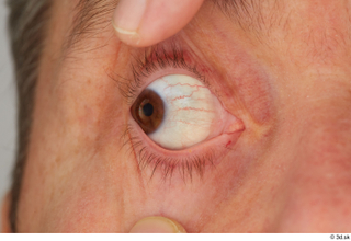 HD Eyes Alfredo Noboa eye eye texture eyelash iris pupil…